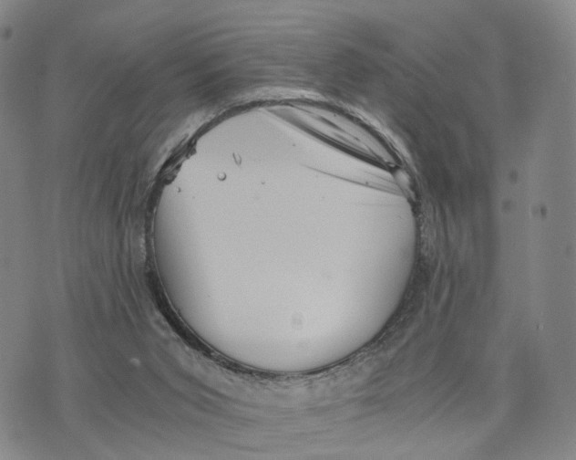 X0000073700015200608311741