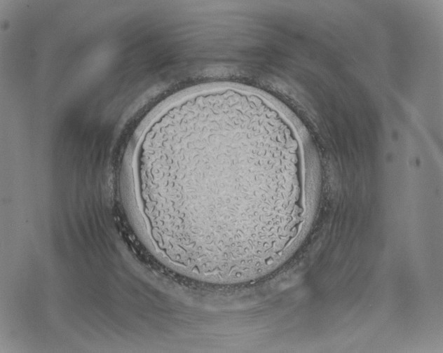 X0000073700016200608311741