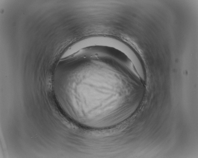 X0000073700017200608311741