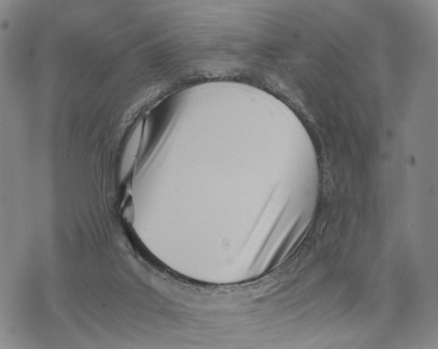 X0000073700019200608311741