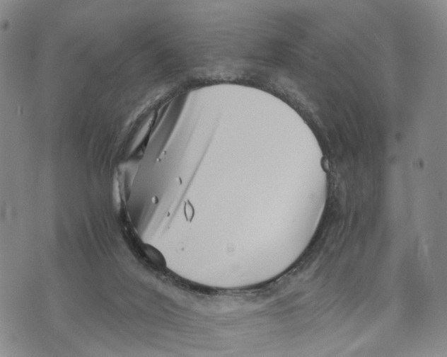 X0000073700020200608311741