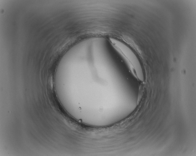 X0000073700021200608311741