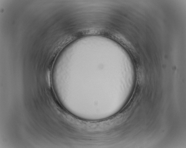 X0000073700022200608311741