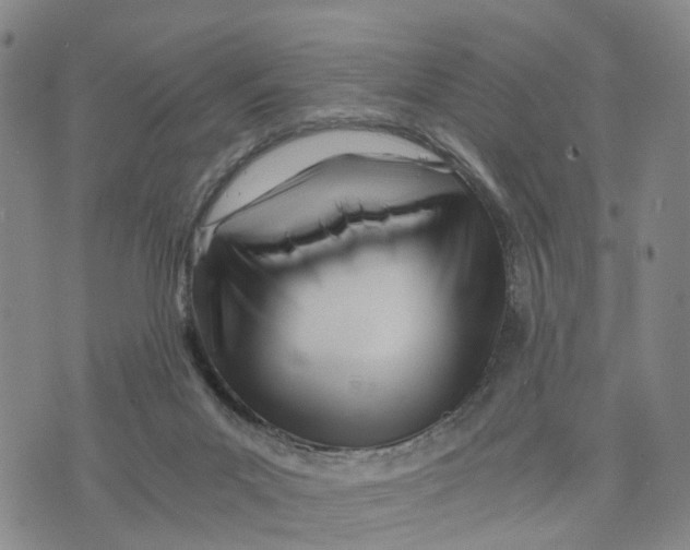 X0000073700023200608311741