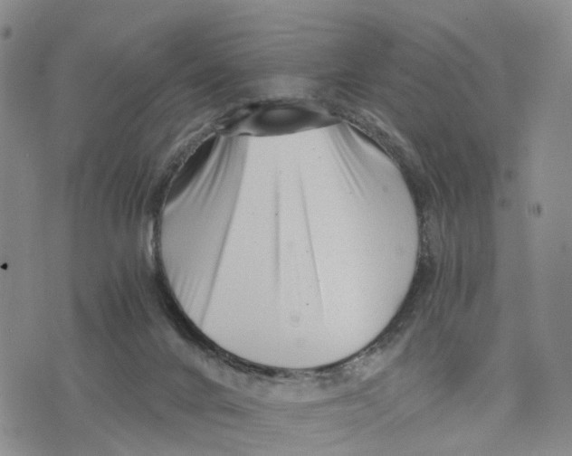 X0000073700024200608311741