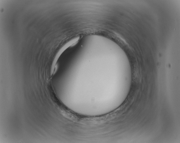 X0000073700025200608311741