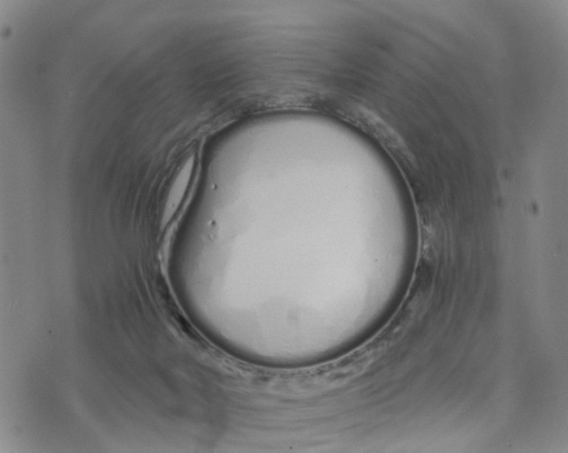 X0000073700026200608311741