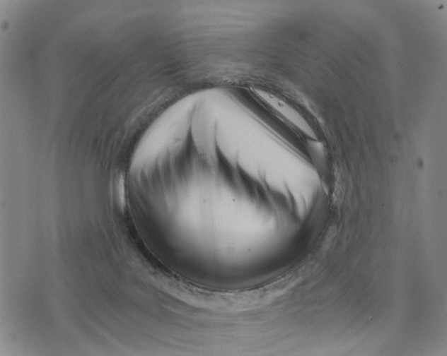 X0000073700027200608311741