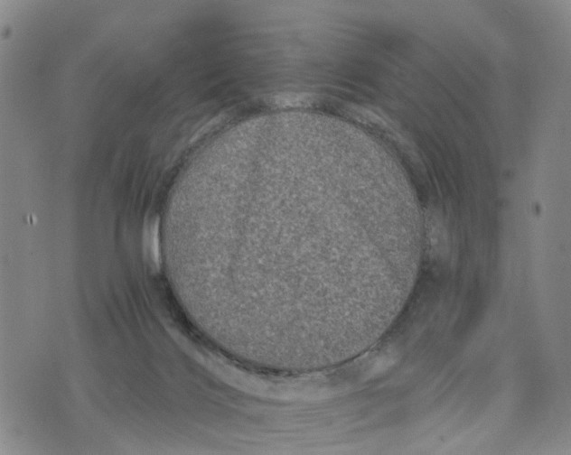 X0000073700028200608311741