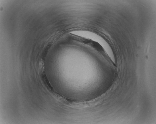 X0000073700029200608311741