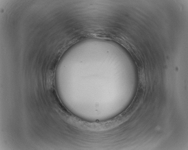 X0000073700030200608311741