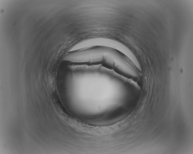 X0000073700031200608311741