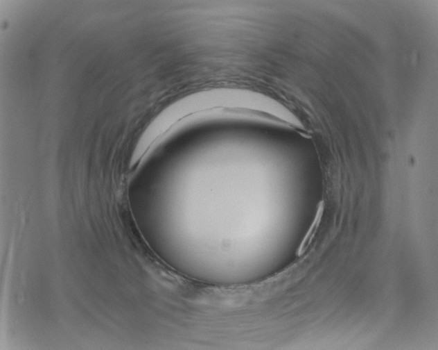 X0000073700033200608311741