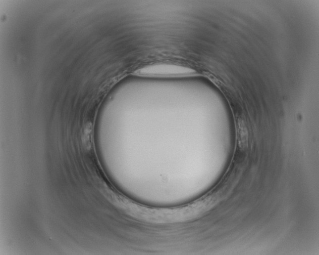 X0000073700034200608311741