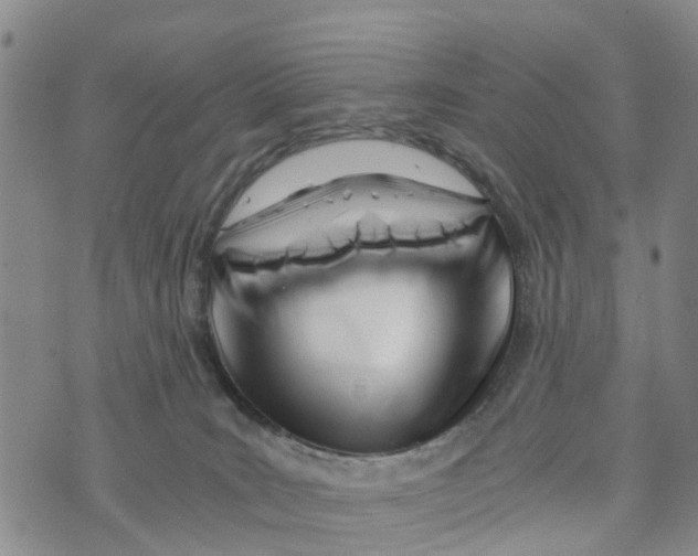 X0000073700035200608311741