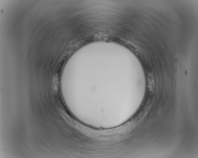 X0000073700038200608311741