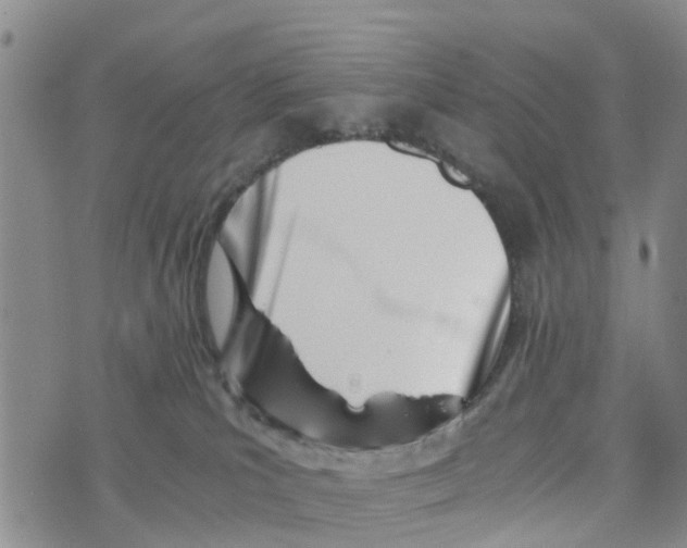 X0000073700039200608311741