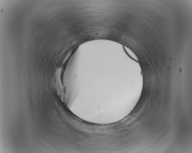 X0000073700040200608311741