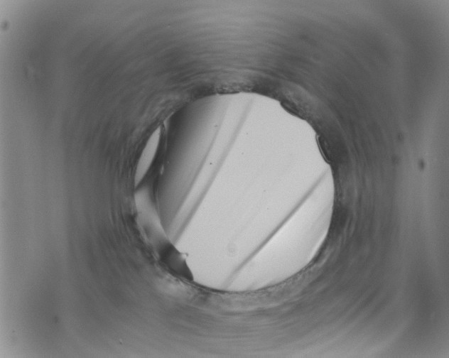 X0000073700041200608311741