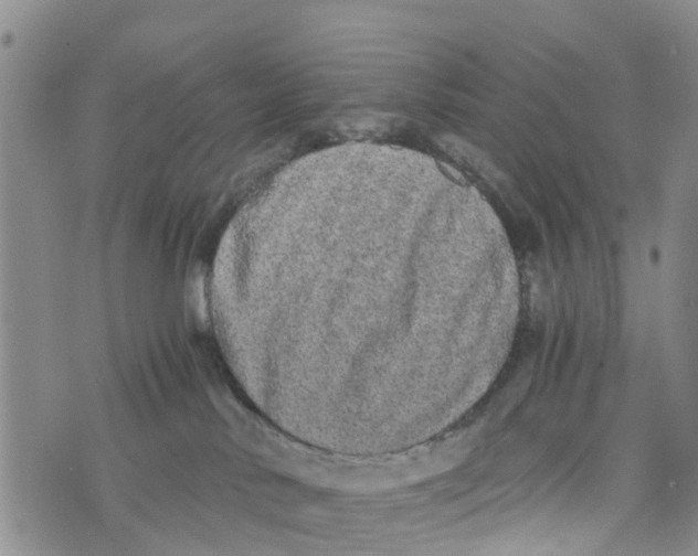 X0000073700042200608311740