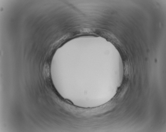 X0000073700043200608311740