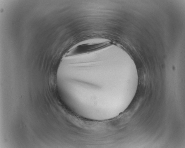 X0000073700044200608311740