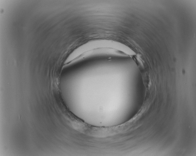 X0000073700045200608311740