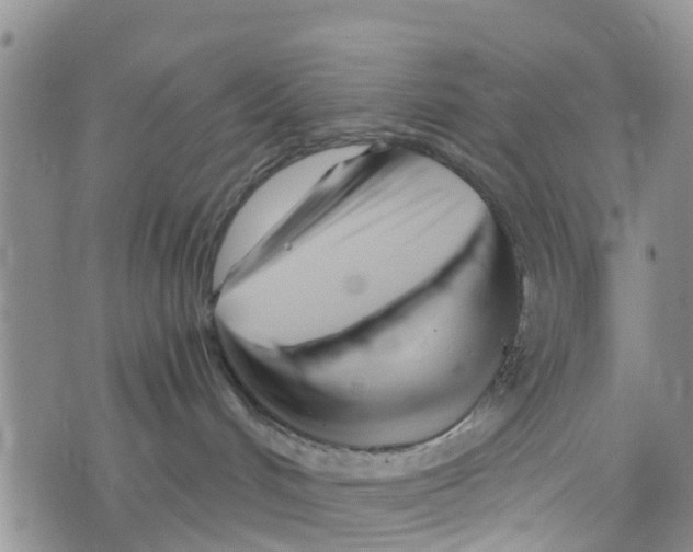 X0000073700048200608311740