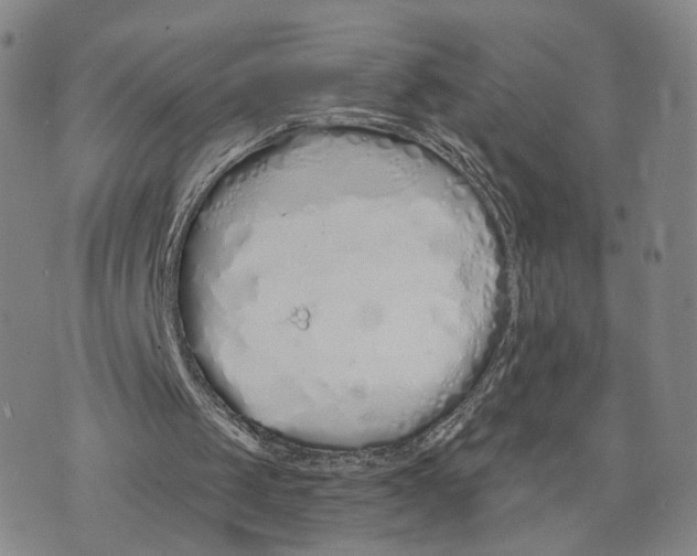 X0000073700049200608311740