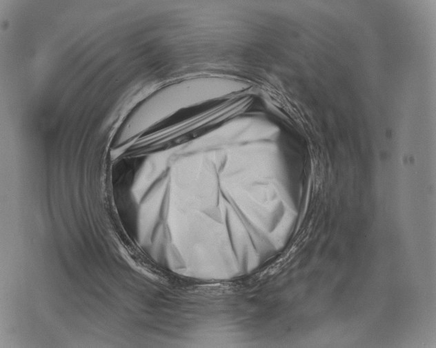 X0000073700050200608311740