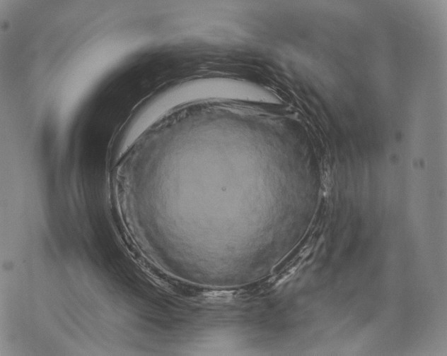 X0000073700052200608311740