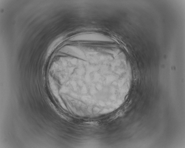 X0000073700053200608311740