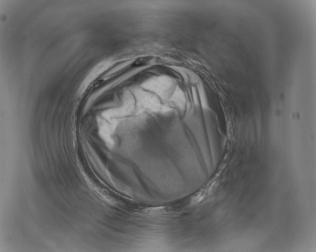 X0000073700054200608311740