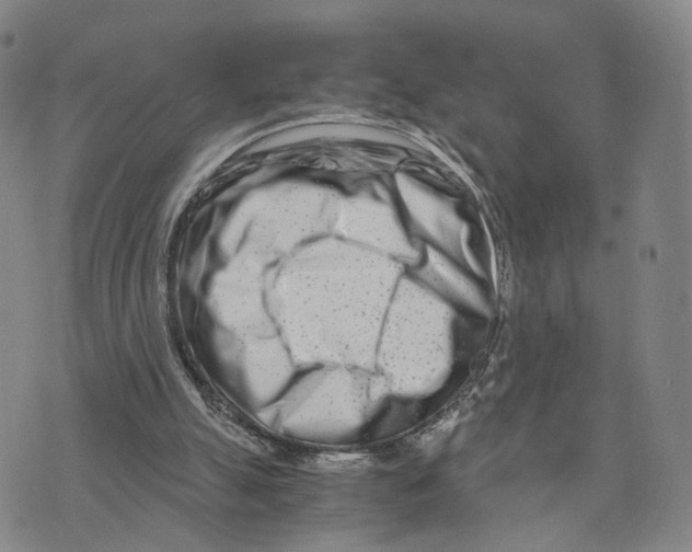 X0000073700055200608311740