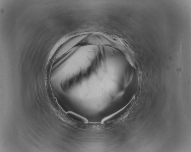 X0000073700056200608311740