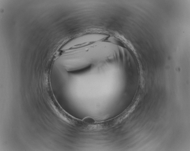 X0000073700057200608311740