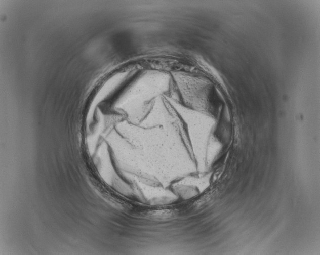 X0000073700059200608311740