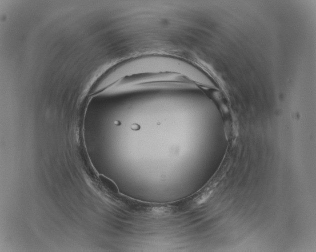 X0000073700060200608311740