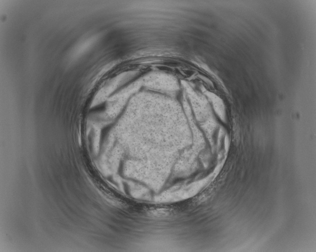 X0000073700062200608311740