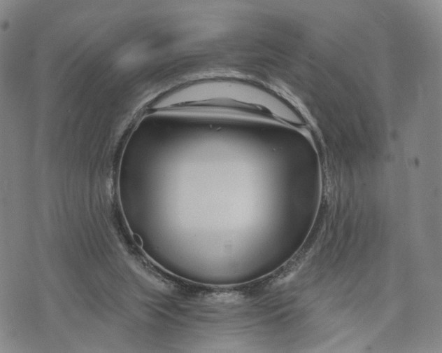 X0000073700063200608311740