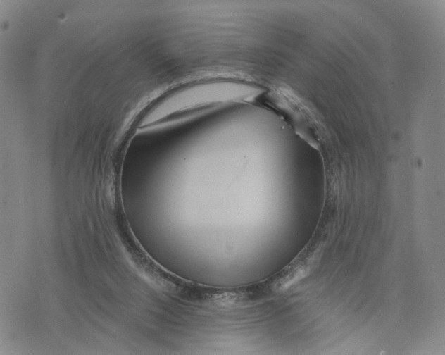 X0000073700064200608311740