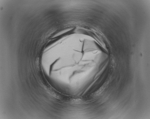 X0000073700066200608311740