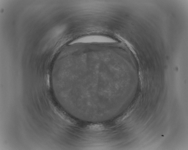 X0000073700067200608311740