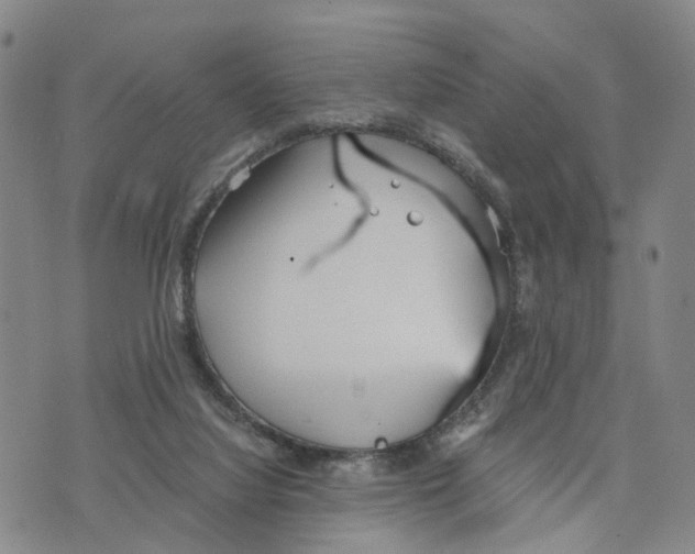 X0000073700068200608311740