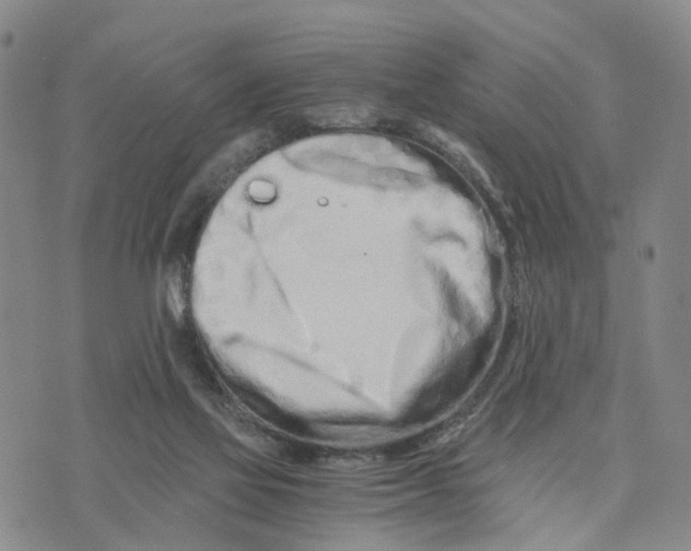 X0000073700069200608311740