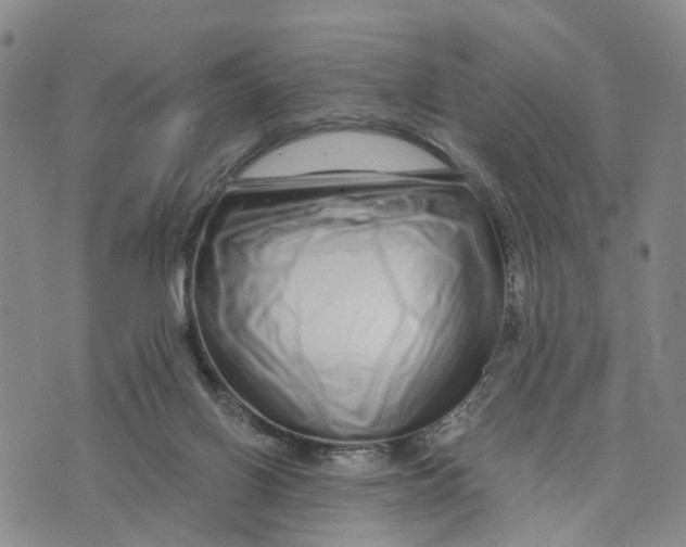 X0000073700070200608311740