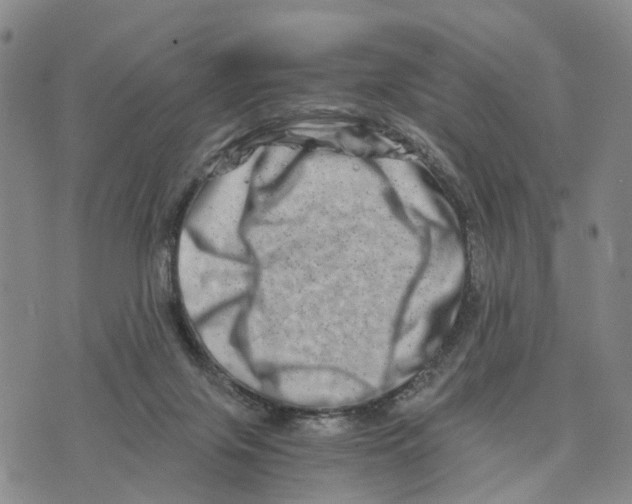 X0000073700071200608311740