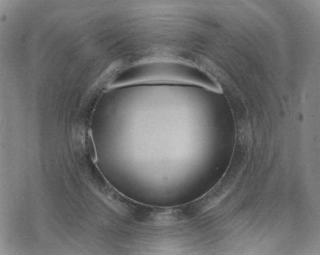 X0000073700072200608311740