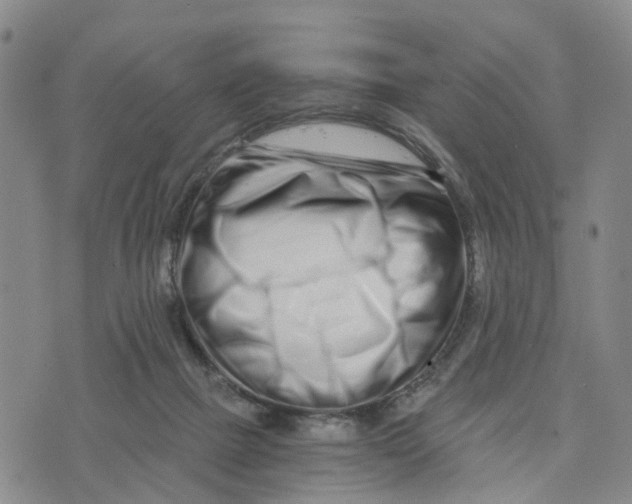 X0000073700073200608311740