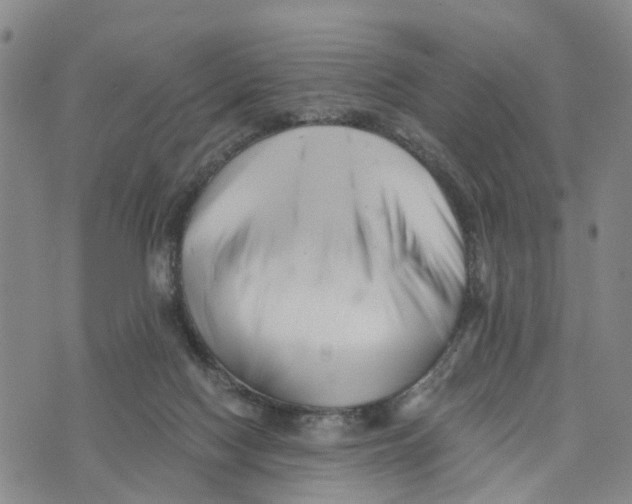 X0000073700074200608311740